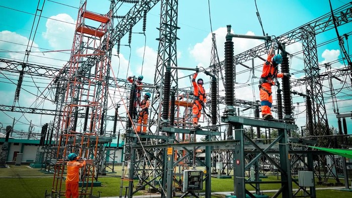 PLN