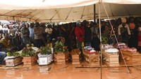 Jika digabung, total korban tewas di Mozambik, Madagaskar, dan Malawi mencapai 400 jiwa sejak Februari lalu.  