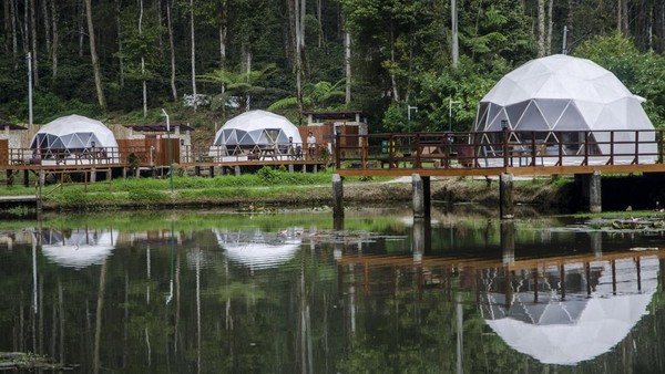 Kawasan Wisata Ranca Upas kembali dibuka untuk pengunjung setelah sempat ditutup karena kerusakan lingkungan yang menyebabkan matinya tumbuhan bunga rawa (Eriocaulon brownianum mart). Kerusakan itu akibat kegiatan motor trail beberapa waktu lalu. Kawasan Wisata Ranca Upas kembali dibuka untuk pengunjung setelah sempat ditutup karena kerusakan lingkungan yang menyebabkan matinya tumbuhan bunga rawa (Eriocaulon brownianum mart). Kerusakan itu akibat kegiatan motor trail beberapa waktu lalu.