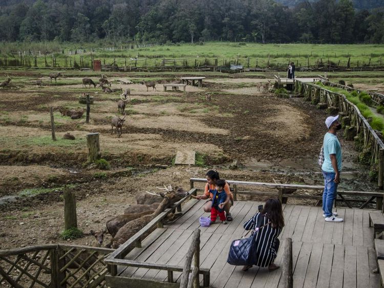Ranca Upas Dibuka Lagi Usai Viral Rusak Akibat Event Motor Trail