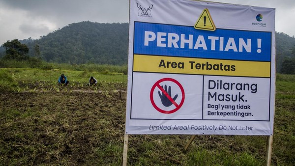 Pekerja membersihkan perkemahan di area wisata Ranca Upas, Ciwidey. Area yang bisa diakses meliputi wahana kijang, glamping, camping. Sementara area bunga rawa masih ditutup.