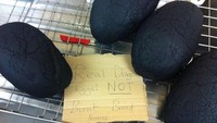 Kalau yang ini foto diambil dari salah satu dapur di toko roti. Karena panggang roti terlalu gosong, sampai disangka seperti telur naga. Foto: Pool Site