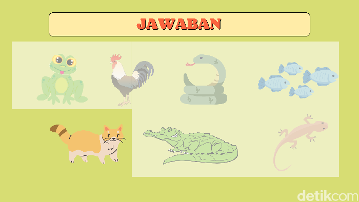 asah otak malam mingguan