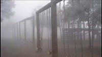 Sepertinya ada yang main ayunan. (Foto: Reddit)