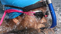 Lomba renang perairan itu digelar dalam rangka memeriahkan Sabang Marine Festival 2023.