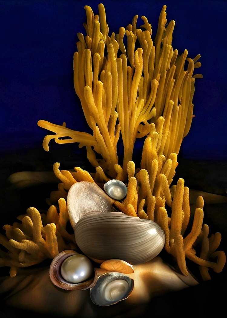 Mobile Photo Awards 2023