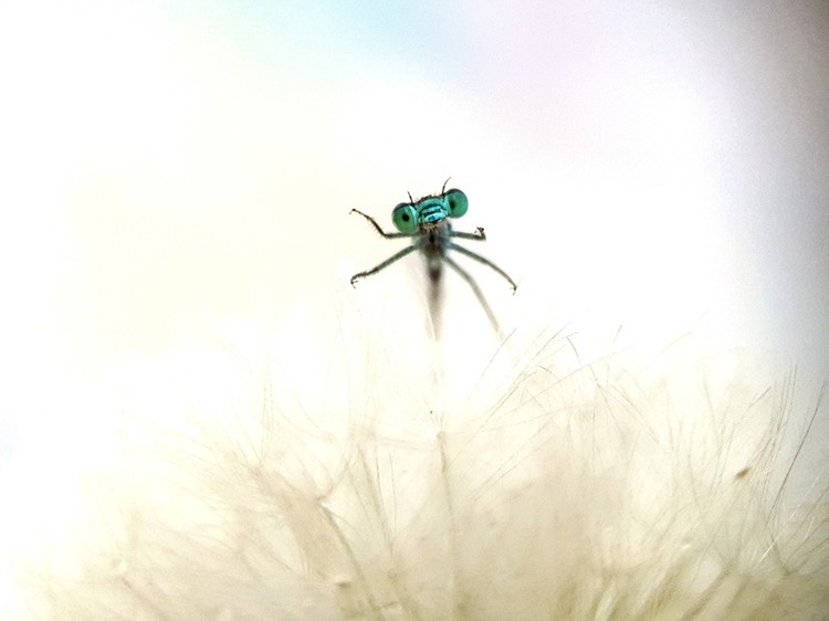 Mobile Photo Awards 2023