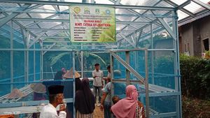 Relawan Ganjar Bagikan Alat Pertanian ke Rumah Bibit di Serang