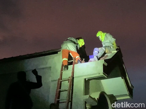 Lampu 1 Blok Perumahan Lumajang Dimatikan Demi Evakuasi Sarang Tawon Vespa