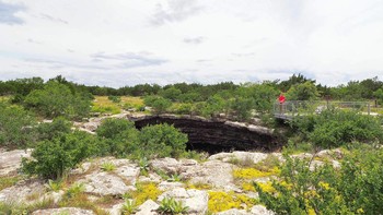 The Davils Sinkhole adalah habitat kelelawar alami yang terletak di dekat Rocksprings, Texas. Ammon Billings. Seorang peternak menemukan lubang pada tahun 1876. Kedalamannya 122 meteri dan menjadi rumah bagi jutaan kelelawar berekor Meksiko . Ditetapkan sebagai National Natural Landmark pada tahun 1968, tempat ini dibuka untuk umum sejak tahun 1992. Pengamatan kelelawar adalah aktivitas utama di konservasi ini. Anda harus memesan tur terlebih dahulu jika berencana mengunjungi Devils Sinkhole. Foto: Texas Monthly