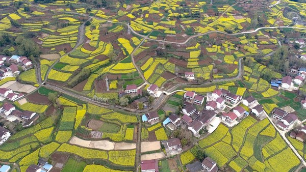 Dalam beberapa tahun terakhir kawasan ini berkembang pesat menjadi destinasi populer.