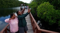 Hutan mangrove yang berada di kawasan Teluk Youtefa dan memiliki luas sekitar 233,12 Hektare.