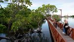 Menikmati Ekowisata Mangrove di Teluk Youtefa Jayapura