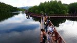 Menikmati Ekowisata Mangrove di Teluk Youtefa Jayapura