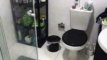 Coba temukan kucing. Foto: Bored Panda