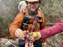 Bikin Mata Melotot, Coba Temukan Objek Dari Foto Kamuflase Ini