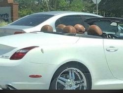 Bikin Mata Melotot, Coba Temukan Objek Dari Foto Kamuflase Ini