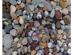 Bikin Mata Melotot, Coba Temukan Objek Dari Foto Kamuflase Ini