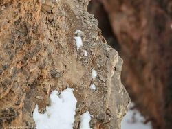 Bikin Mata Melotot, Coba Temukan Objek Dari Foto Kamuflase Ini