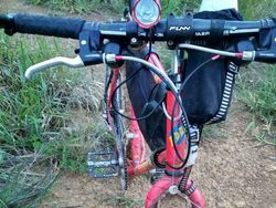 Bikin Mata Melotot, Coba Temukan Objek Dari Foto Kamuflase Ini