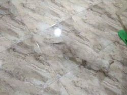 Bikin Mata Melotot, Coba Temukan Objek Dari Foto Kamuflase Ini