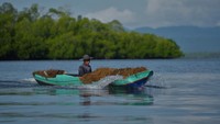 Petani membawa rumput laut di atas perahunya usai panen di Desa Langgere, Buton Utara, Sulawesi Tenggara, Minggu (19/3/2023).