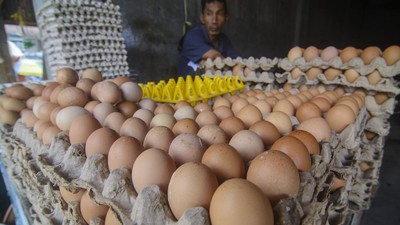 Harga Telur di Palu Naik Jelang Ramadan