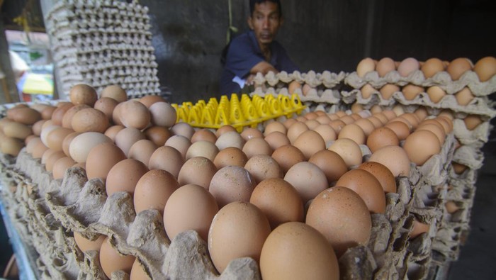 Pedagang telur ayam menunggui pembeli di kawasan Pasar Induk Manonda, Palu, Sulawesi Tengah, Minggu (19/3/2023). Harga telur ayam terus merangkak naik menjelang Ramadhan dari Rp45 ribu per rak (isi 30 butir) menjadi Rp50 ribu per rak. ANTARA FOTO/Basri Marzuki/YU