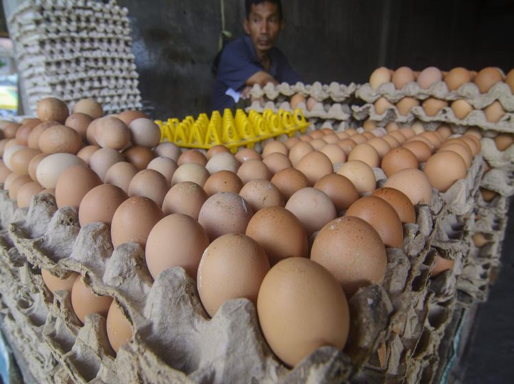 Harga Telur di Palu Naik Jelang Ramadan