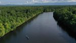 Lanskap Asri Hutan Mangrove di Buton Utara