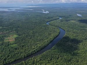 Dinamika Ekologi Lahan Blue Carbon di Pesisir