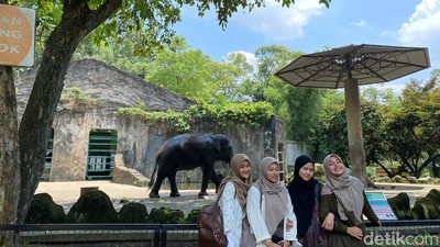 Ide Aktivitas Seru di Ragunan, Tak Hanya Lihat Satwa!