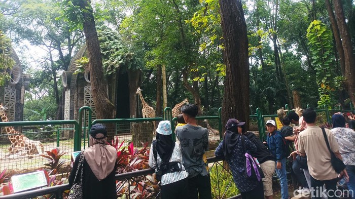 Kebun Binatang Ragunan
