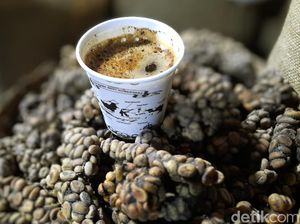 Kopi Arabika Argopuro, Jejak Rasa dari Lereng Gunung Legendaris
