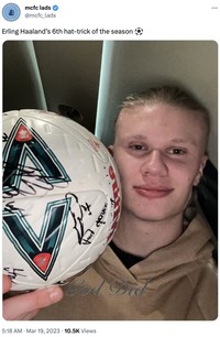 Meme Erling Haaland
