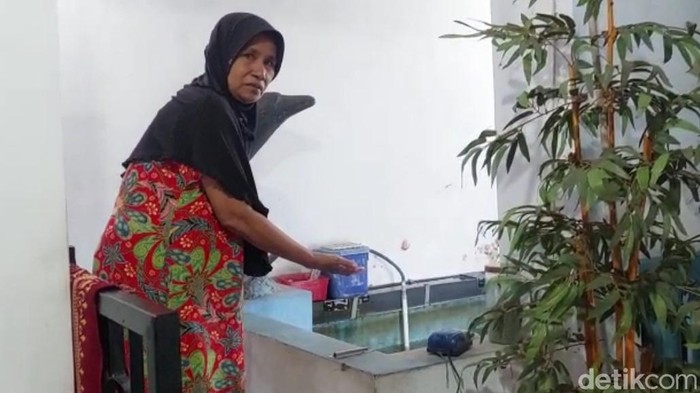 Nenek korban saat menunjukkan kolam koi tempat cucunya tewas tenggelam