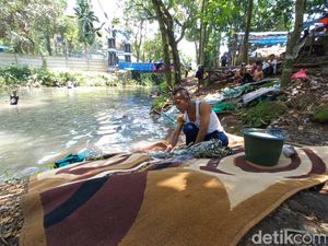 Melihat Tradisi Cuci Karpet Jelang Ramadan di Mata Air Umbulan Pasuruan