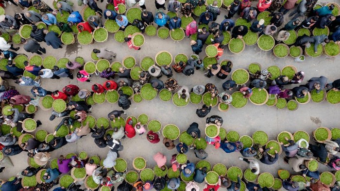 YA'AN, CHINA - MARCH 19: Aerial view of people purchasing fresh spring tea on March 19, 2023 in Ya'an, Sichuan Province of China. (Photo by Liu Guoxing/VCG via Getty Images)