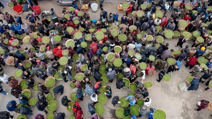 1474723503 YA'AN, CHINA - MARCH 19: Aerial view of people purchasing fresh spring tea on March 19, 2023 in Ya'an, Sichuan Province of China. (Photo by Liu Guoxing/VCG via Getty Images)