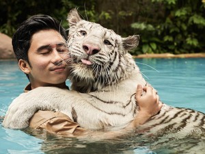 Profil Alshad Ahmad, Sepupu Raffi Ahmad yang Hamili, Nikahi-Ceraikan Nissa Asyifa