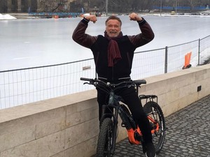 Kagumnya Arnold Schwarzenegger pada Pemuda Bali Nge-gym Pakai Alat Seadanya