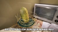 Tak hanya tempat menyimpan telur, tapi ada juga keranjang buah yang diletakkan di dapurnya. Saat itu digunakan oleh Jessica untuk menaruh pepaya. Foto: YouTube Jessica Jane
