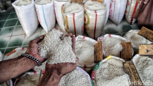 Pemerintah memberikan sinyal rencana impor beras. Namun opsi impor akan ditentukan setelah melihat panen raya selama tiga bulan ke depan.