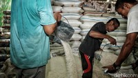 Sebelumnya, rencana impor disampaikan oleh Menteri Perdagangan (Mendag) Zulkifli Hasan dalam rapat kerja dengan Komisi VI DPR RI. Sayangnya Zulhas tidak menyebut kapan impor beras dilakukan. Meski begitu, ia menegaskan yang pasti opsi impor beras tidak dilakukan sekarang, karena Indonesia masih di periode panen raya.
