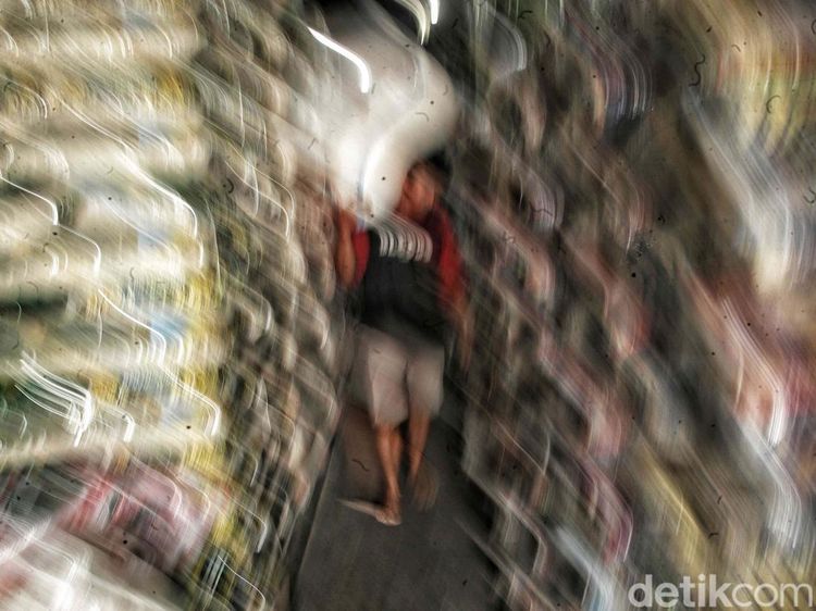 Fakta Terbaru Rencana RI Impor Beras Lagi