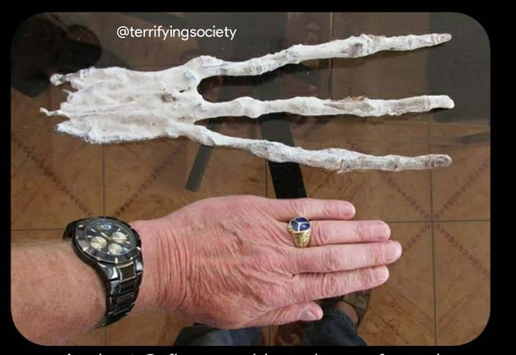 Foto dengan fakta menyeramkan