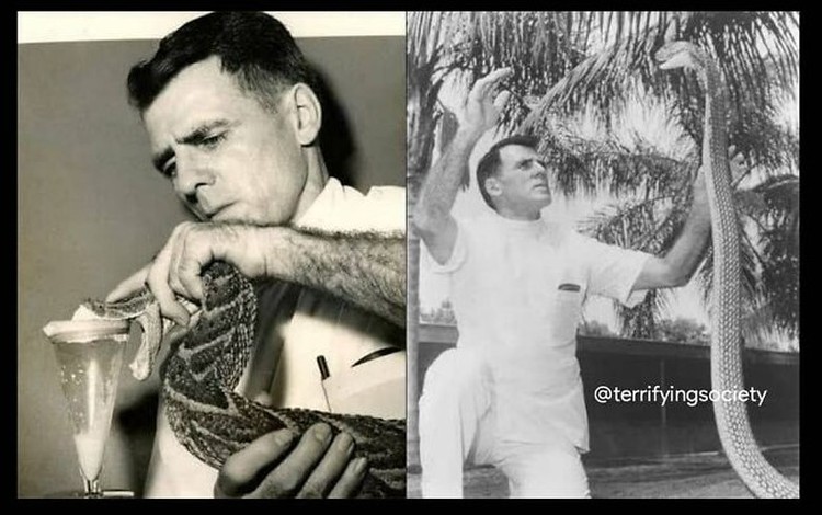 Foto dengan fakta menyeramkan