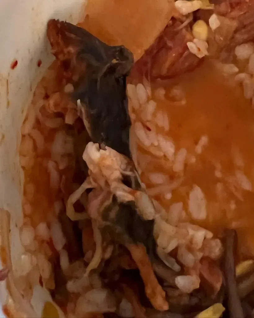 Oh..!  Pasangan itu menemukan bangkai tikus di sup mereka