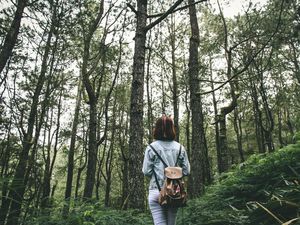 Hari Hutan Internasional 21 Maret 2023: Sejarah, Tema, Twibbon