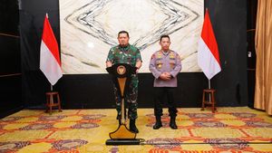 Panglima TNI Tak Mau Pakai Pendekatan Militer Bebaskan Pilot Susi Air